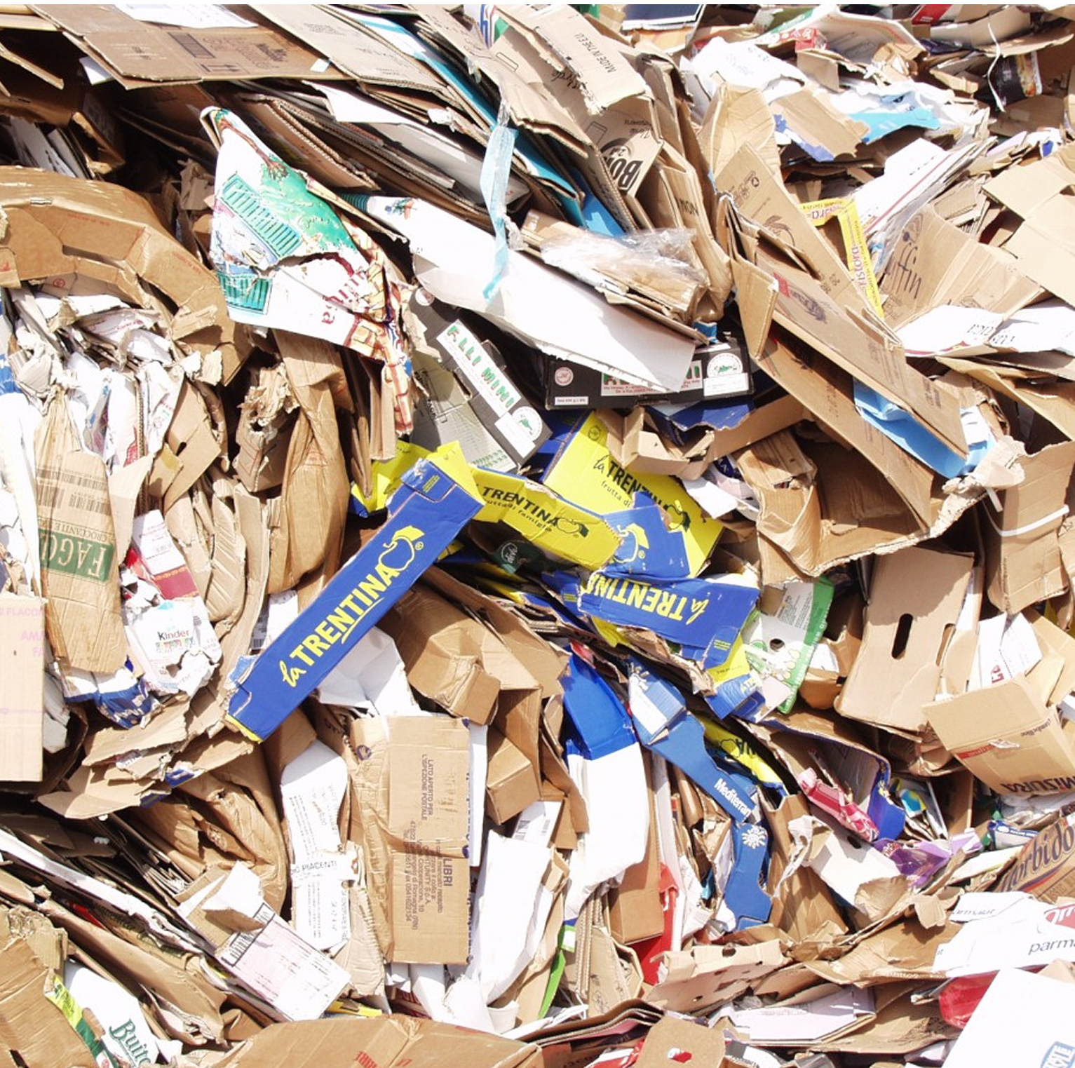 10 Surprising Facts About Plastic Waste