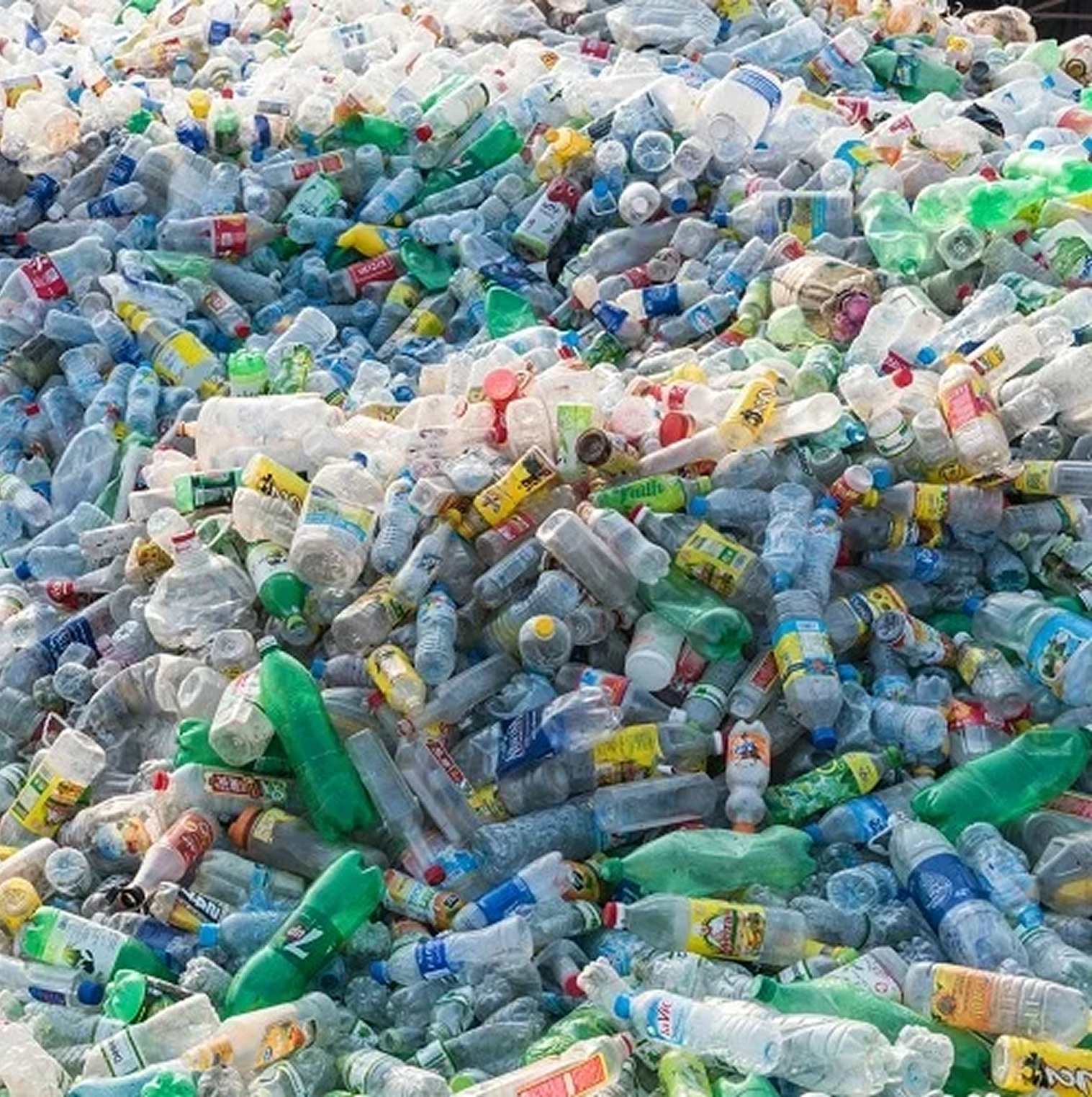 10 Surprising Facts About Plastic Waste